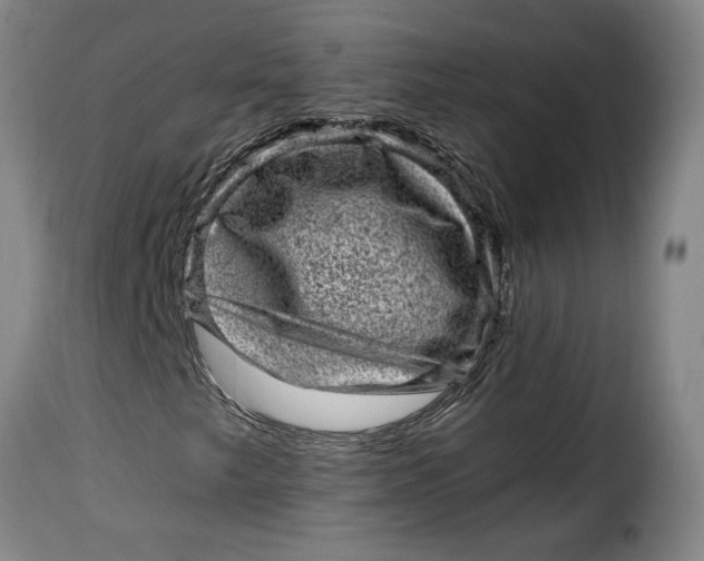 X0000115371249200911241232