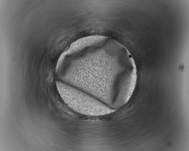 X0000115371250200911241232