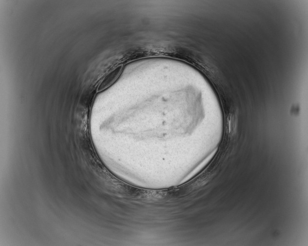 X0000115371251200911241232