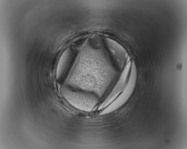 X0000115371252200911241232