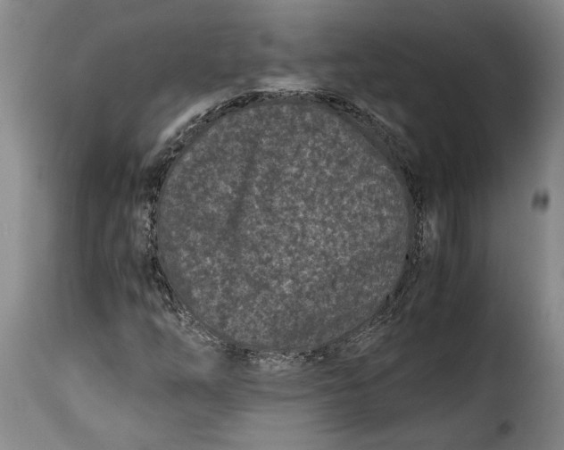 X0000115371254200911241232