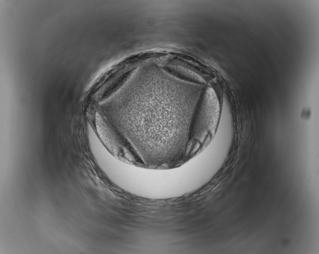 X0000115371256200911241232
