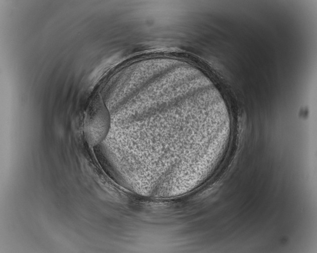 X0000115371257200911241232