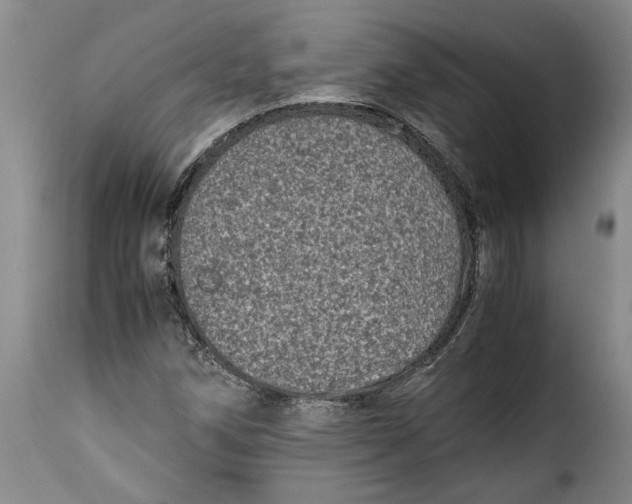X0000115371258200911241232