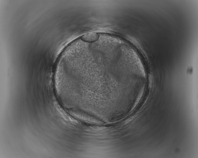 X0000115371260200911241232