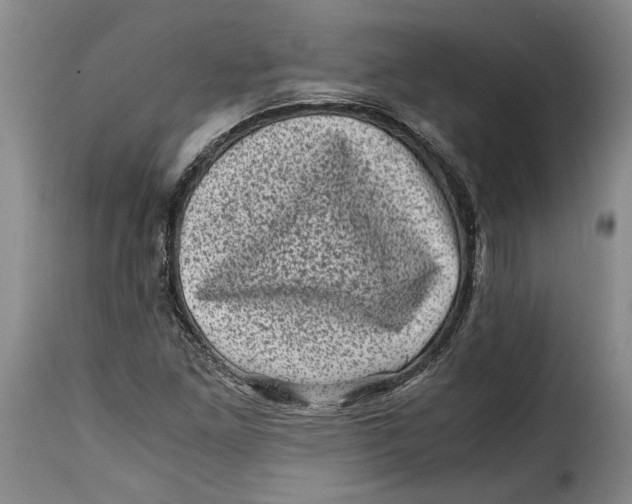 X0000115371261200911241232