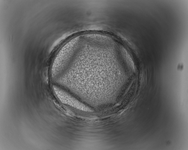 X0000115371262200911241232