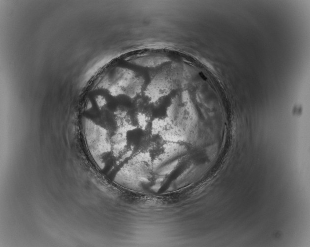X0000115371263200911241232
