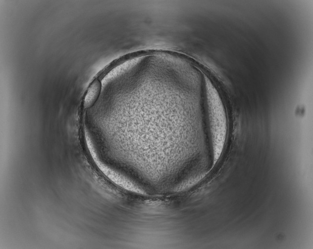 X0000115371264200911241232