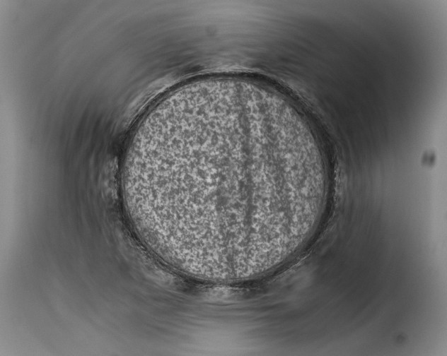 X0000115371265200911241232