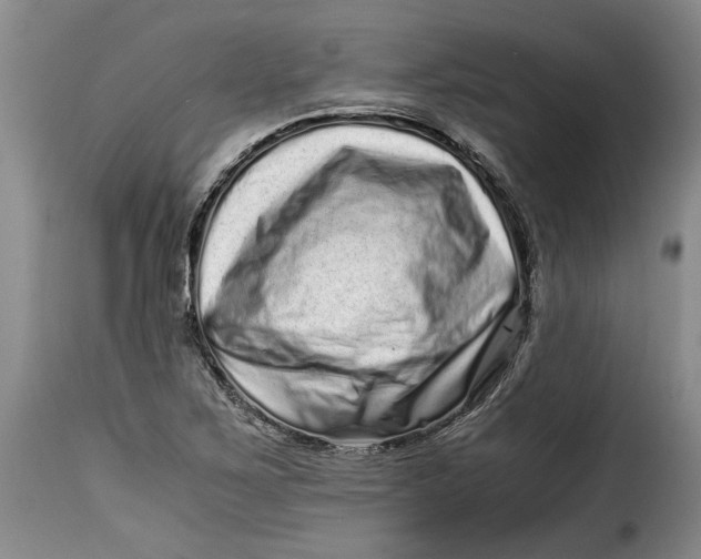 X0000115371267200911241232