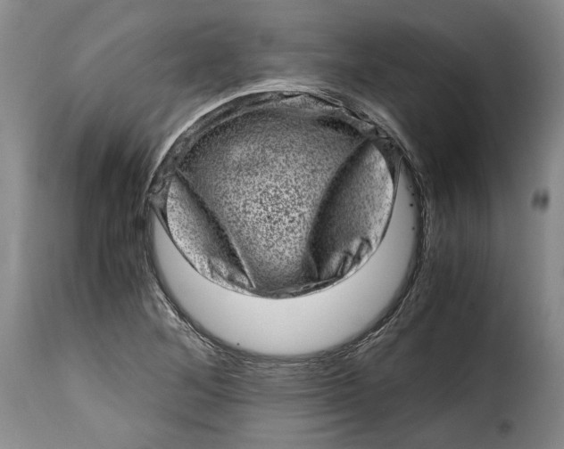 X0000115371268200911241232