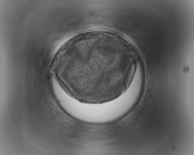 X0000115371269200911241232