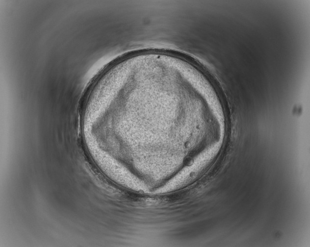 X0000115371271200911241232