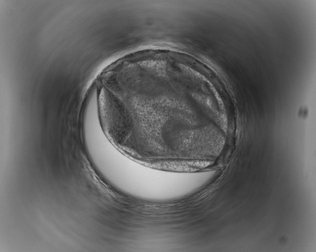 X0000115371272200911241232