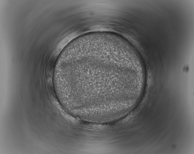 X0000115371273200911241232