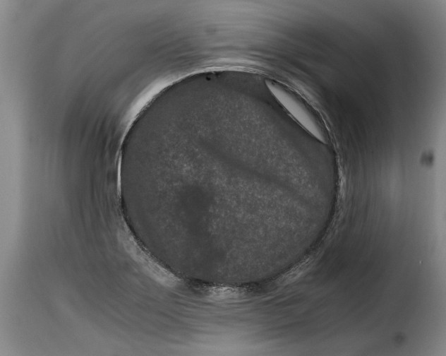 X0000115371275200911241232