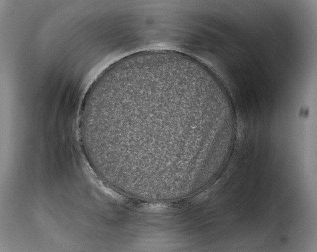 X0000115371278200911241232