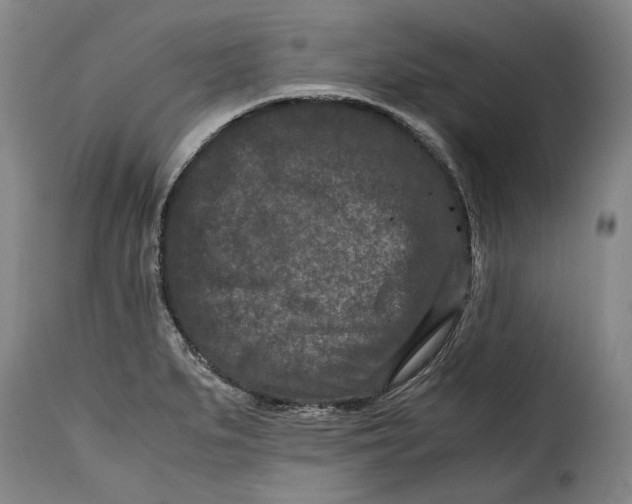 X0000115371279200911241232