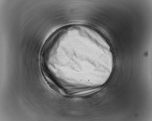 X0000115371283200911241232