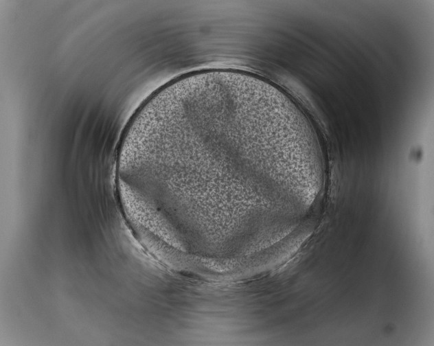 X0000115371284200911241232