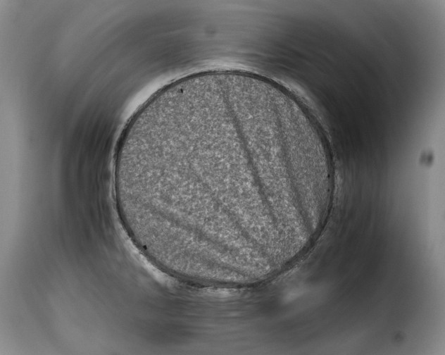 X0000115371286200911241232