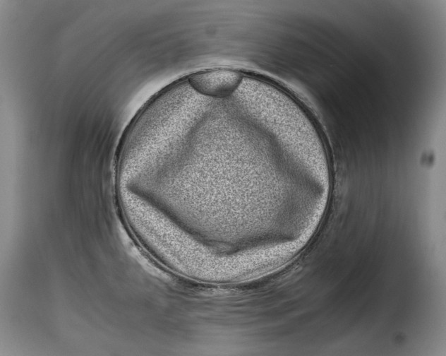 X0000115371287200911241232