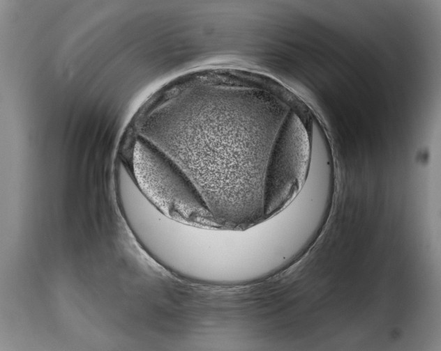 X0000115371288200911241232