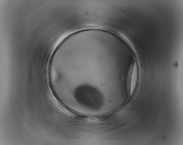 X0000115371291200911241231