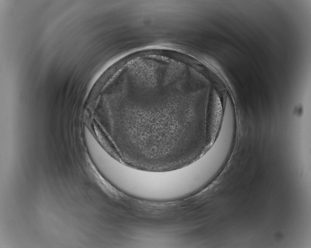 X0000115371292200911241231