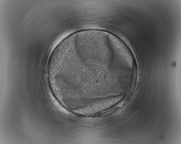 X0000115371293200911241231