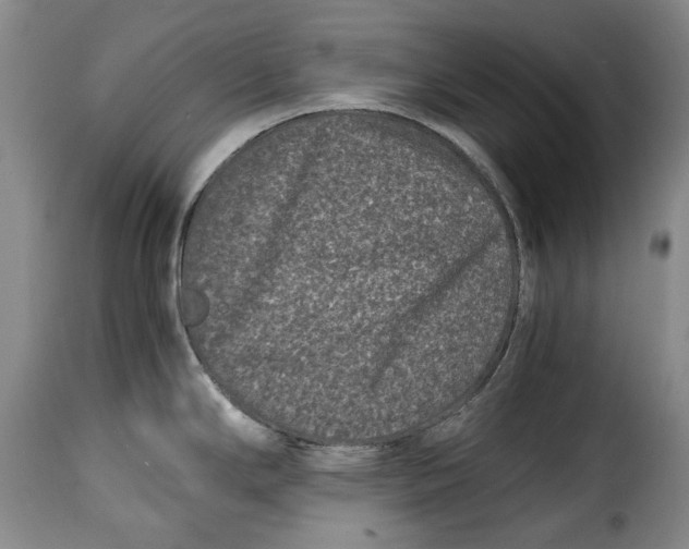 X0000115371294200911241231