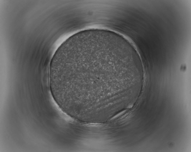 X0000115371295200911241231