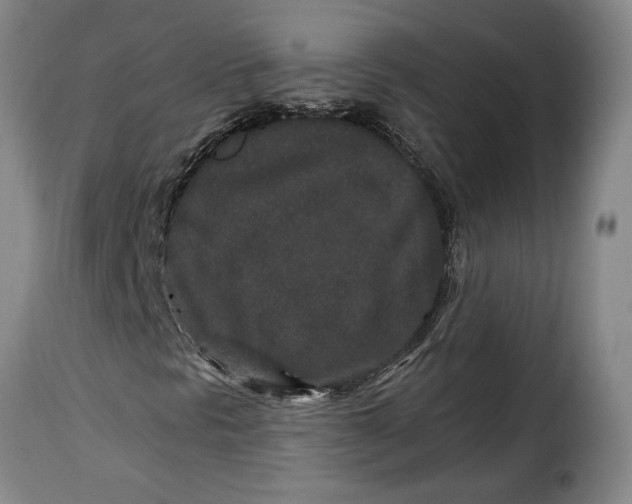 X0000115371297200911241231