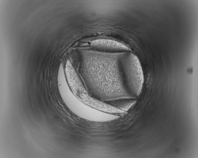 X0000115371298200911241231
