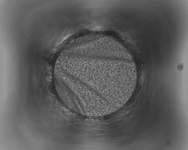 X0000115371301200911241231