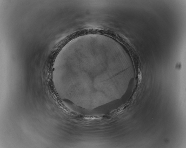 X0000115371303200911241231