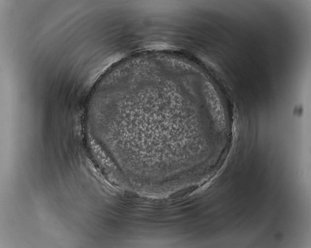 X0000115371305200911241231