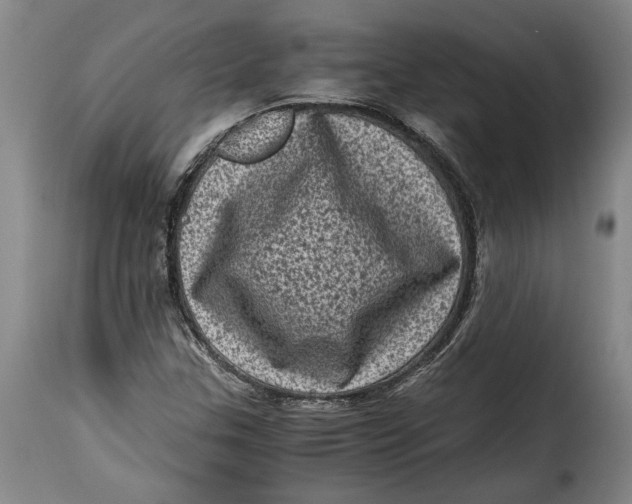 X0000115371307200911241231