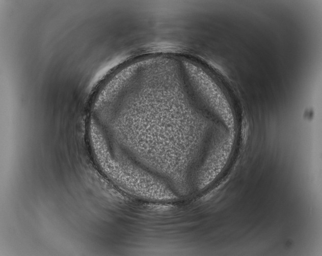 X0000115371309200911241231