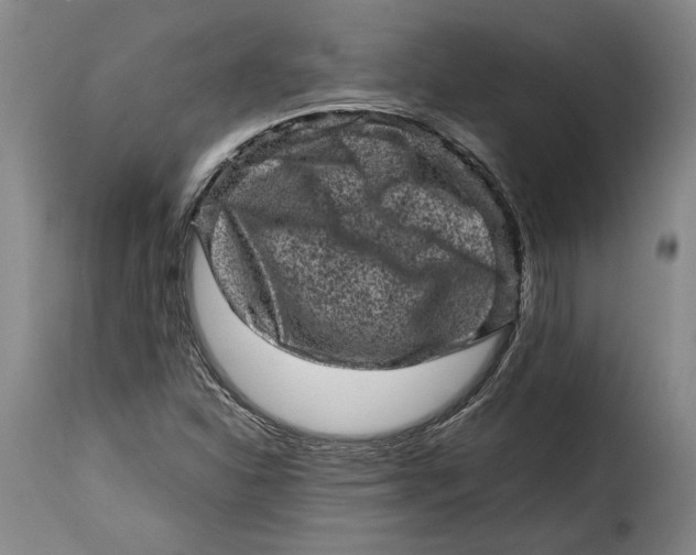 X0000115371310200911241231