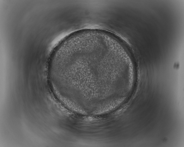 X0000115371311200911241231