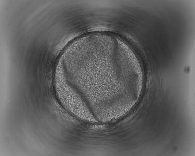 X0000115371313200911241231