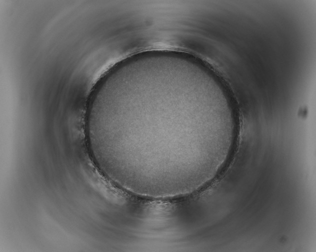 X0000115371314200911241231