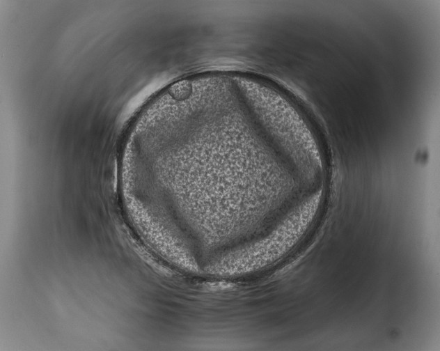 X0000115371317200911241231