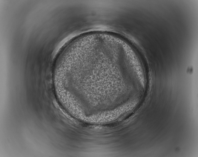 X0000115371318200911241231