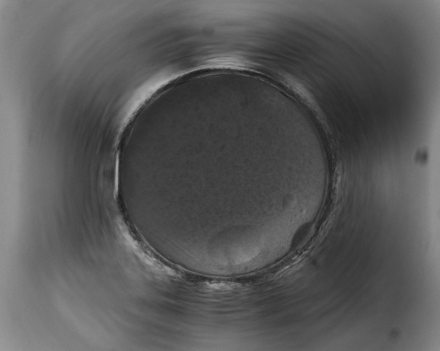X0000115371323200911241231