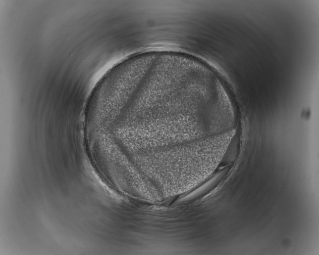 X0000115371325200911241231