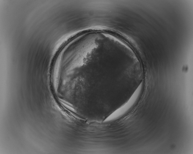 X0000115371327200911241231