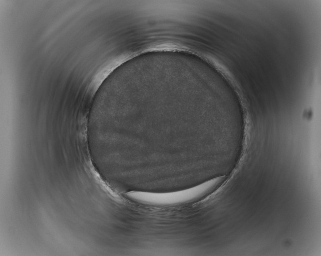 X0000115371329200911241231